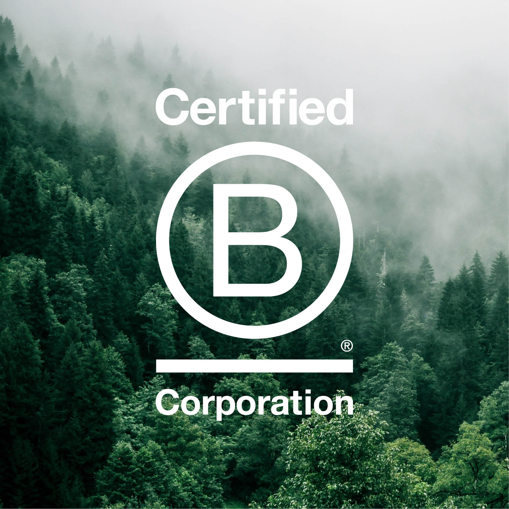 Certified B Corporation